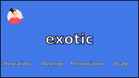 exotic 中文|exotic meaning in chinese.